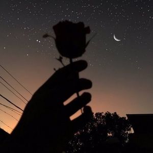 Meet your Posher, Sarai